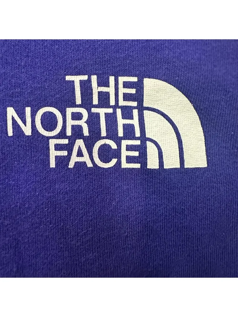 The North Face Men's Blue and Purple Hoody